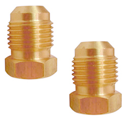 Brass Hex Plug